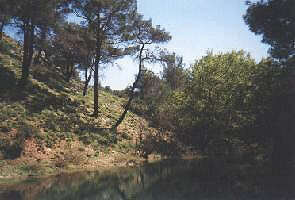 Lake