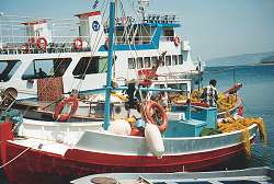 Fishing boats