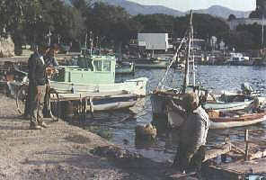 Am Hafen von Kos-Stadt